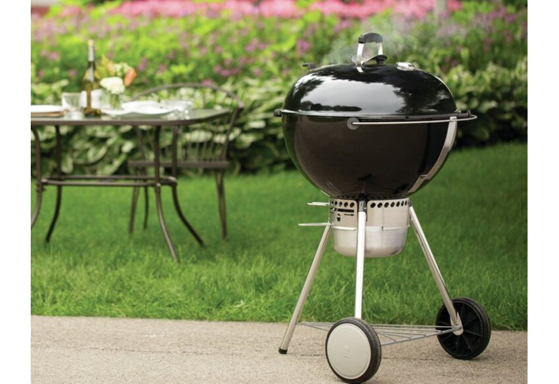 Wayfair 2024 weber grills